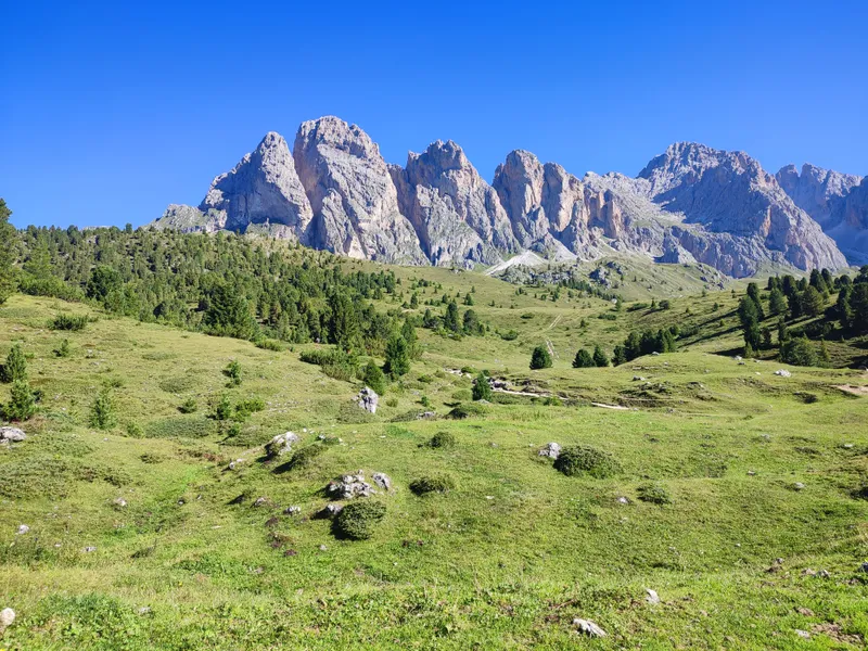 Prairie d’altitude face aux aiguilles calcaires